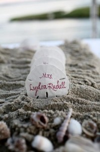 Sand Dollar Escort Cards Sand Dollar Escort Cards