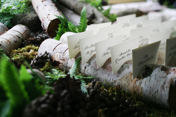 Birch Log Escort Cards  Michelle Rago