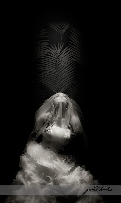 046 Sparks SS Gerard Tomko: Fine Art Wedding Photography