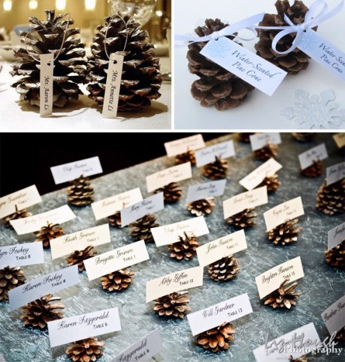 pinecone place cards e1350918375440 Rustic Elegance Winter Wedding Decor