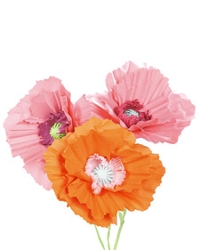 Paper Poppies from Martha Stewart 4160 052009 paperpoppies l Flower Friday: GIANT Paper Flowers